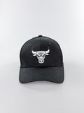 CHICAGO BULLS CURVA