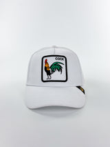 Blanco