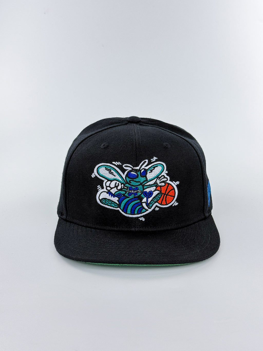 CHARLOTTE HORNETS PLANA
