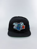 CHARLOTTE HORNETS PLANA