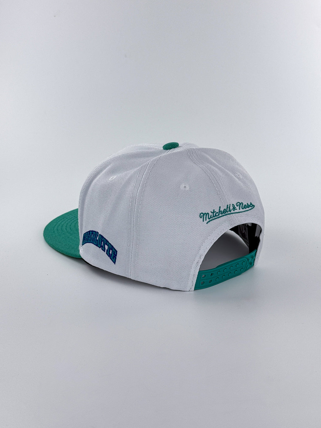 CHARLOTTE HORNETS PLANA