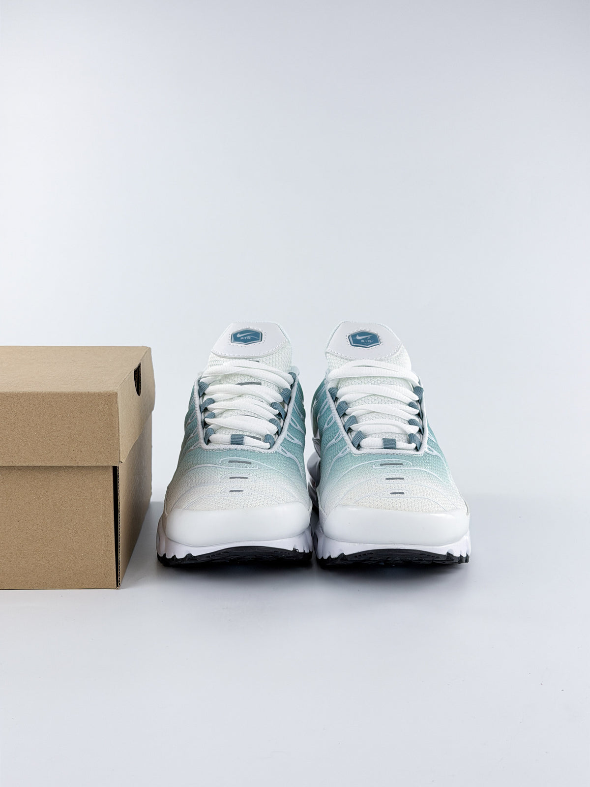 NIKE AIR MAX TN POLAR DEG