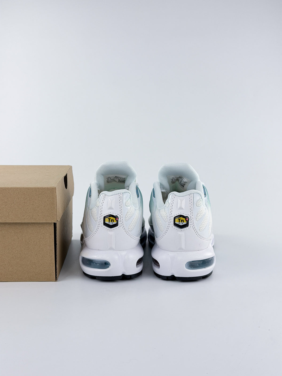 NIKE AIR MAX TN POLAR DEG